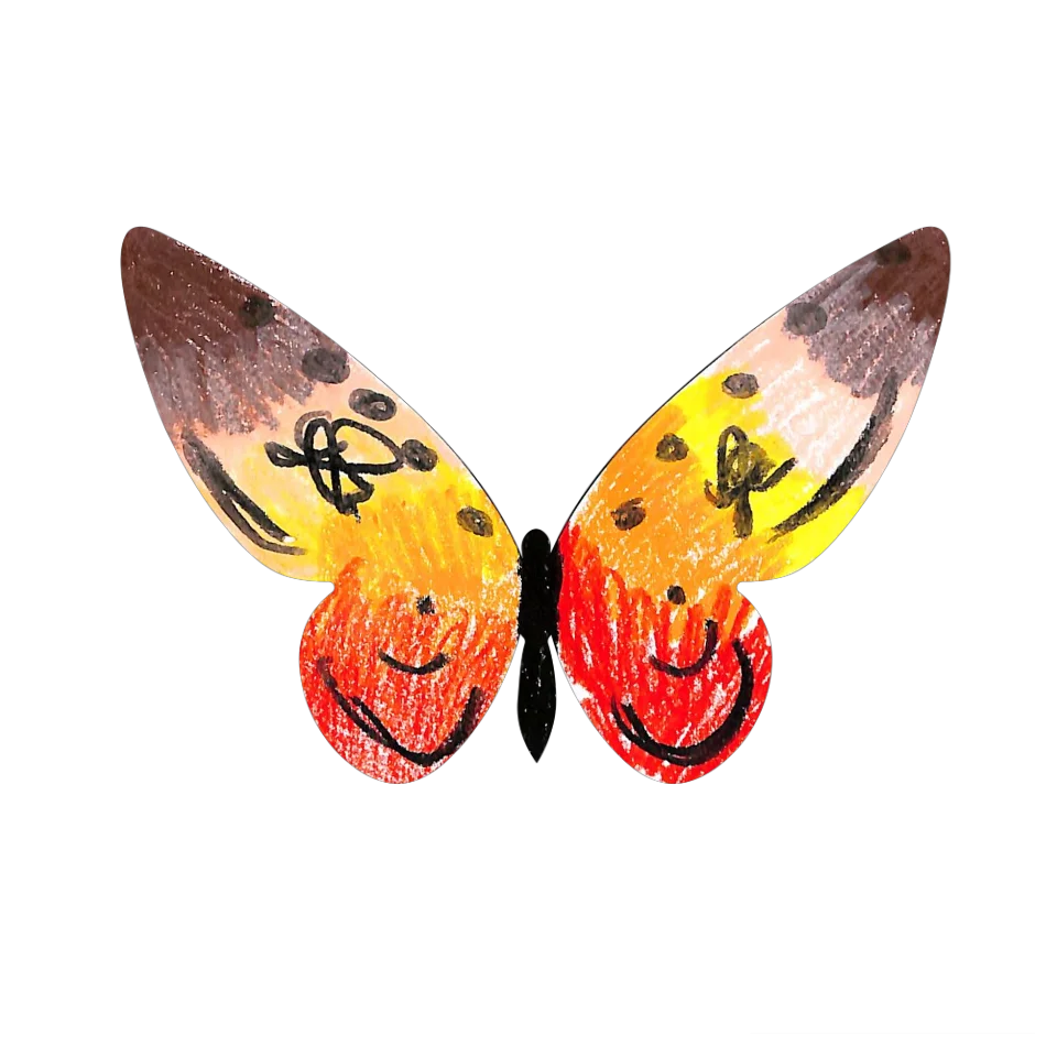 Original Butterfly Image