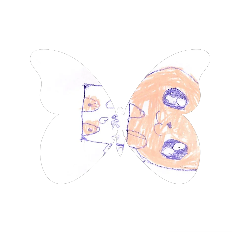 Original Butterfly Image