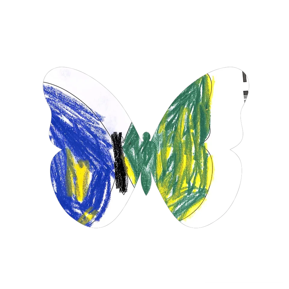 Original Butterfly Image