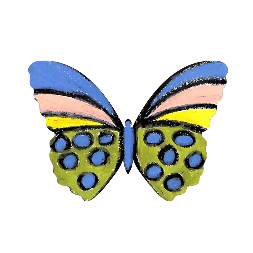Original Butterfly Image