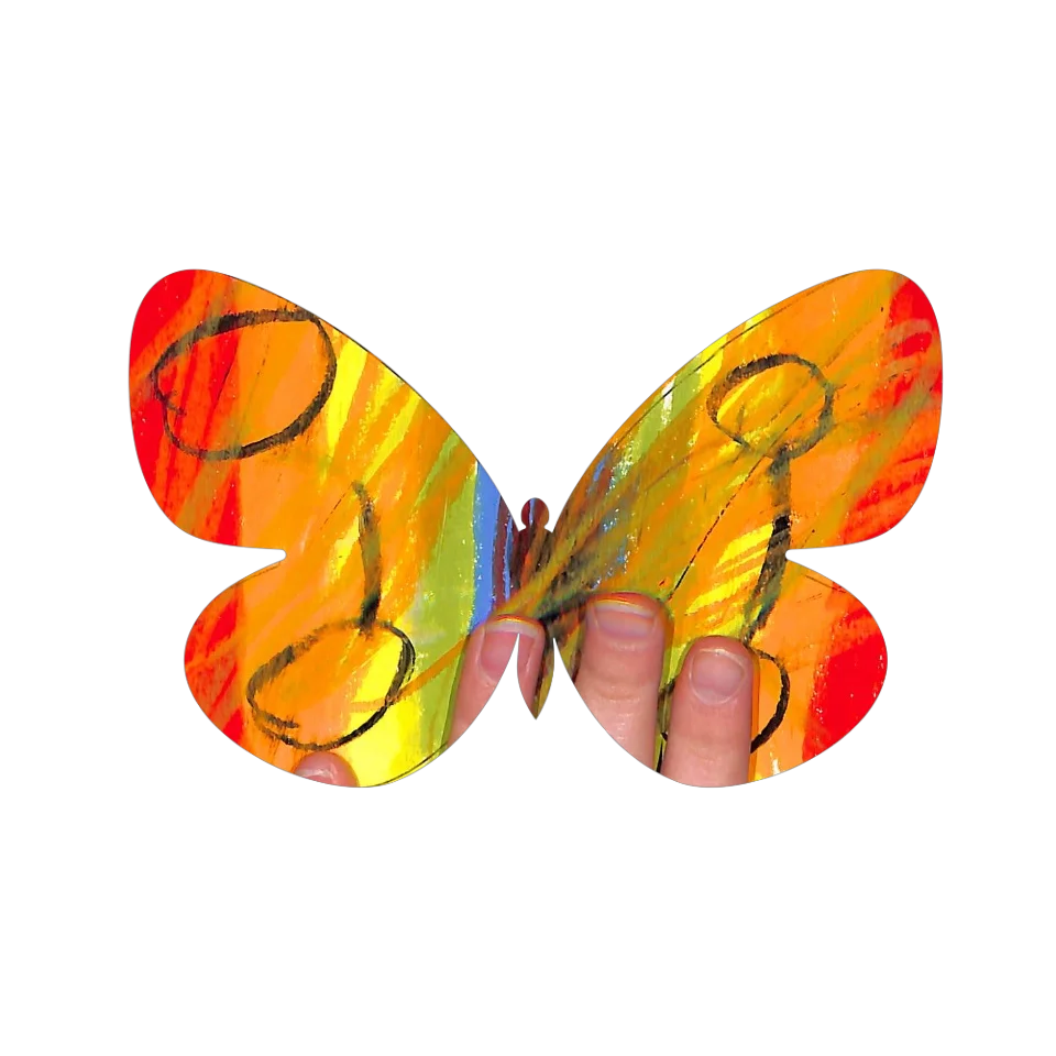 Original Butterfly Image