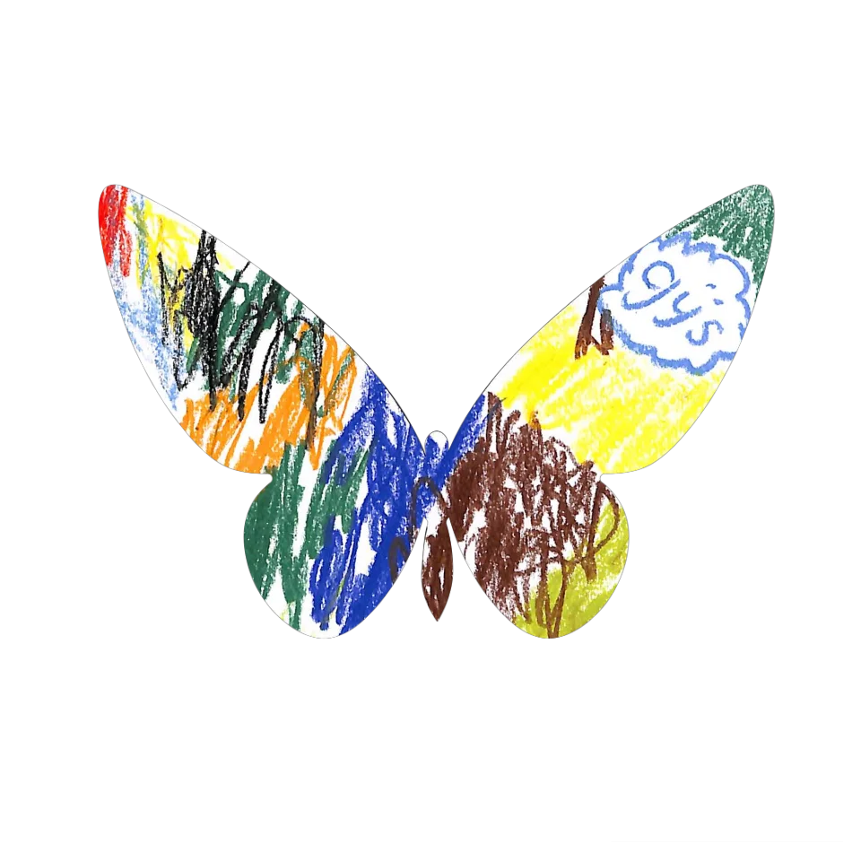 Original Butterfly Image