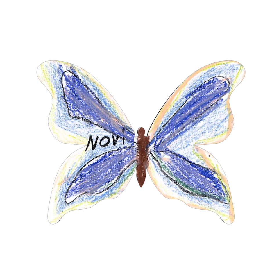 Original Butterfly Image