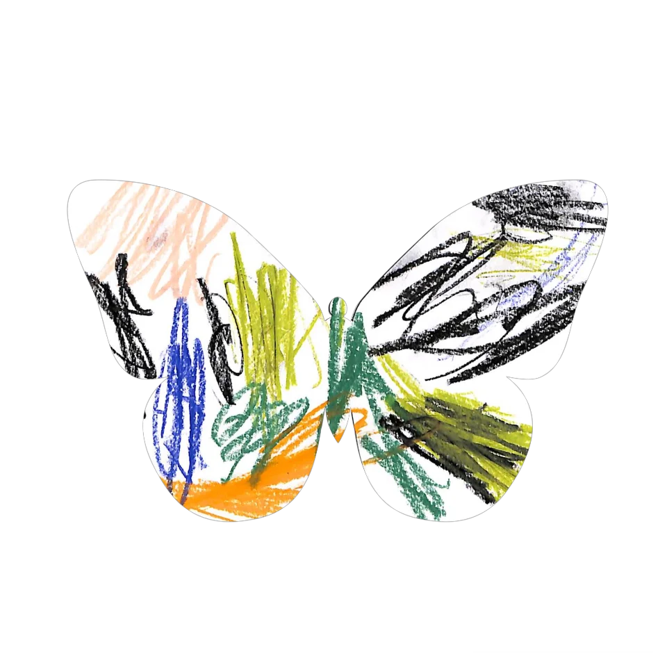 Original Butterfly Image
