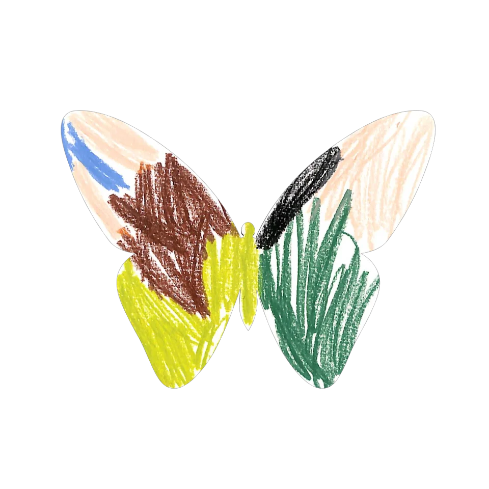 Original Butterfly Image