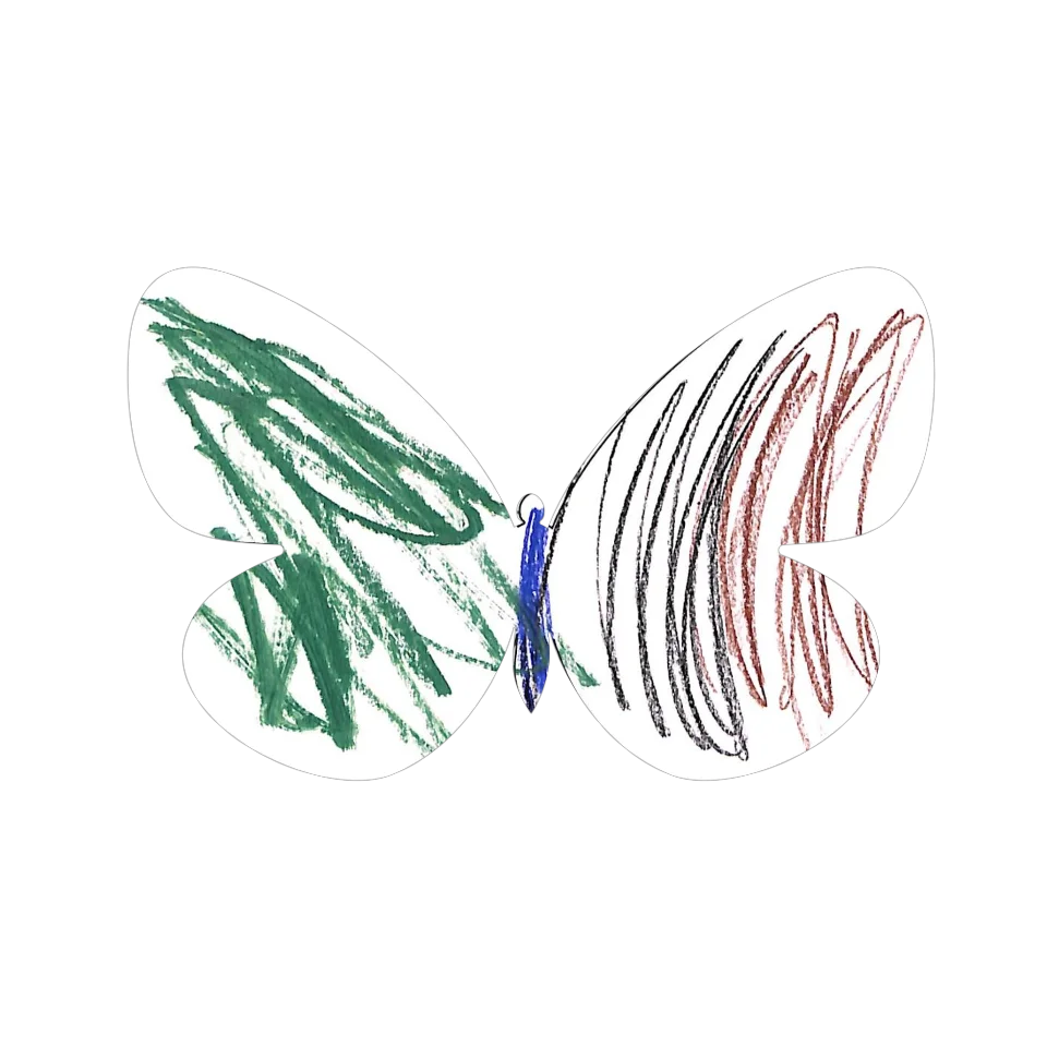 Original Butterfly Image