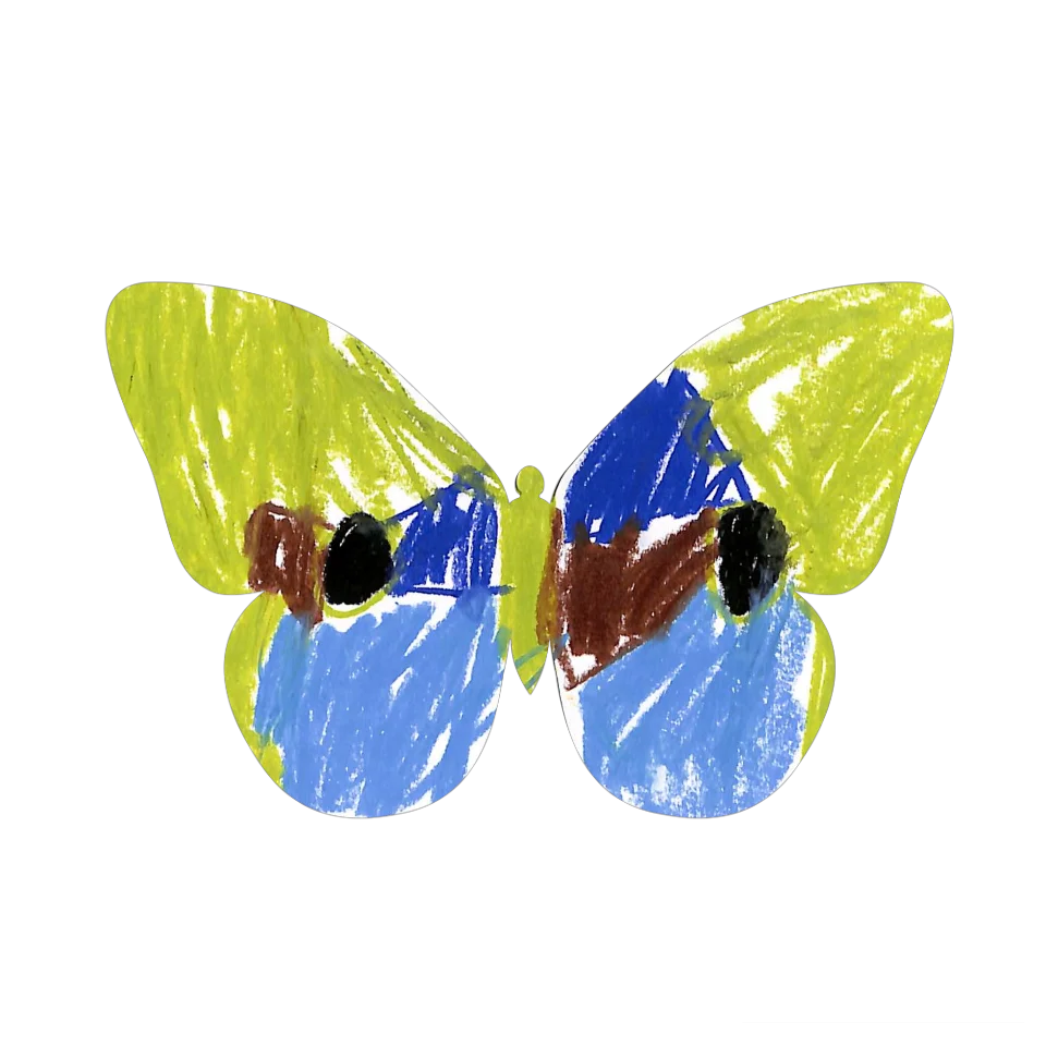 Original Butterfly Image