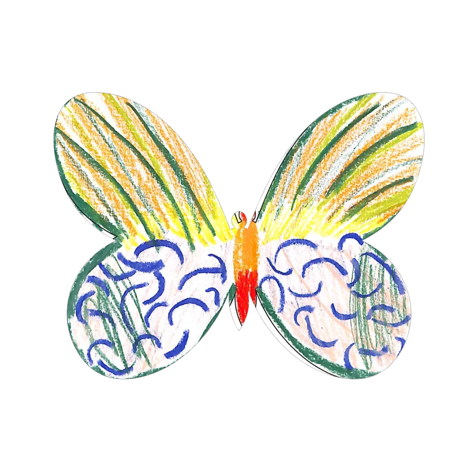 Original Butterfly Image