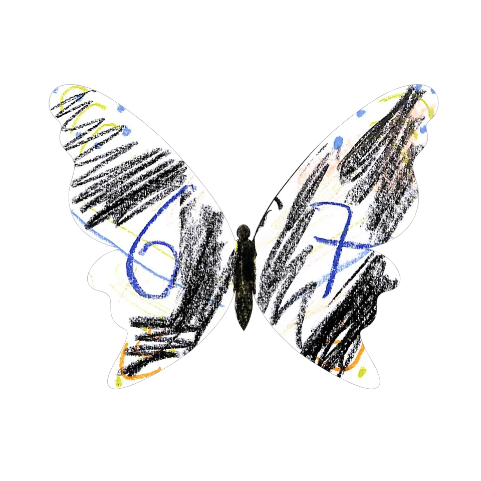 Original Butterfly Image