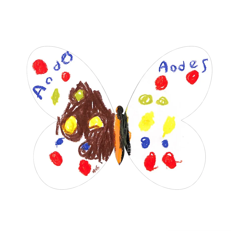 Original Butterfly Image