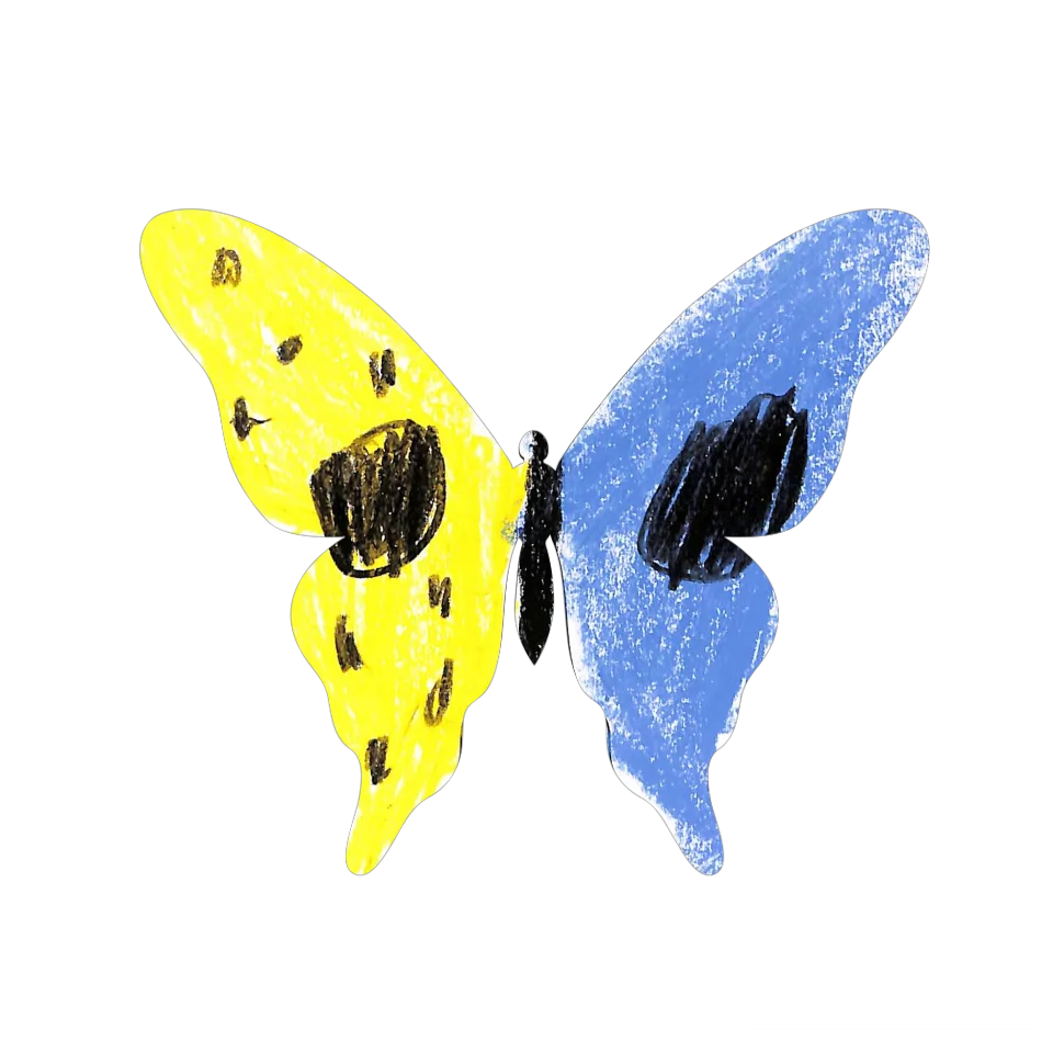 Original Butterfly Image