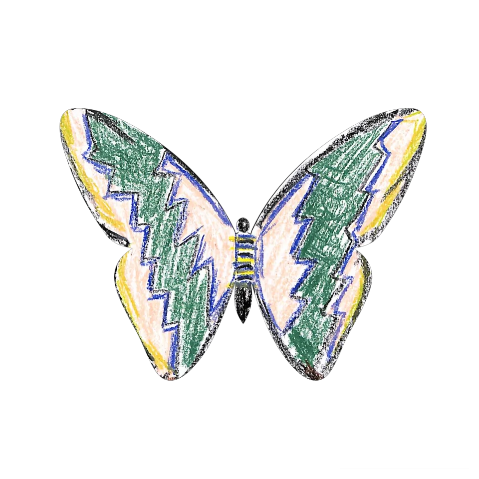 Original Butterfly Image