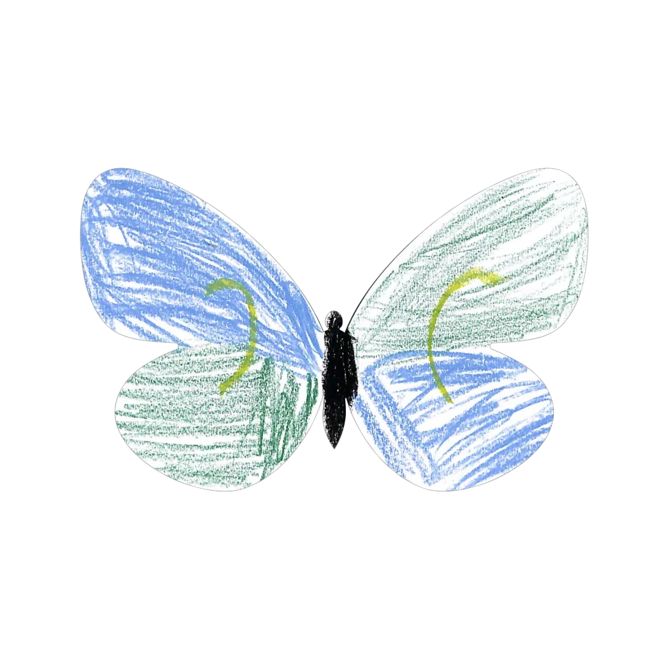 Original Butterfly Image