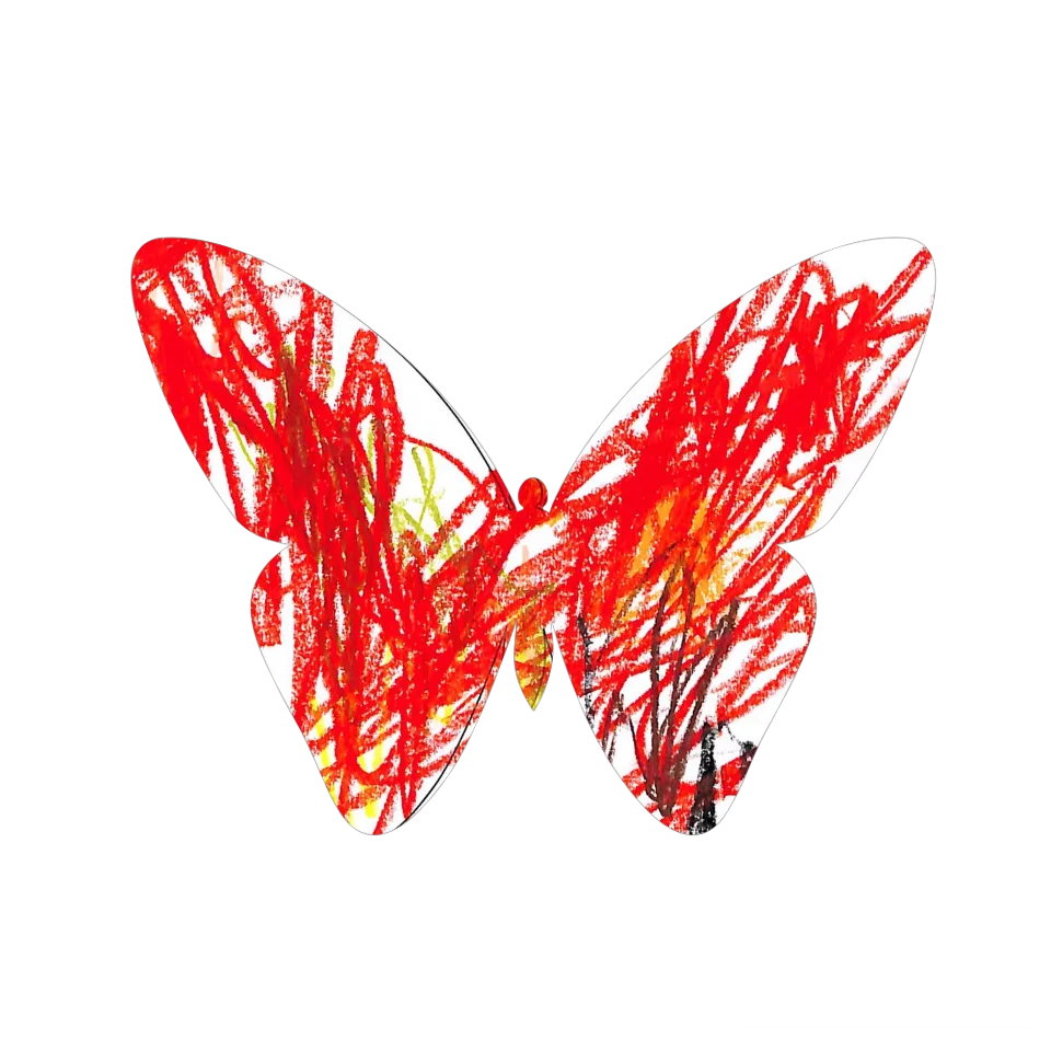 Original Butterfly Image