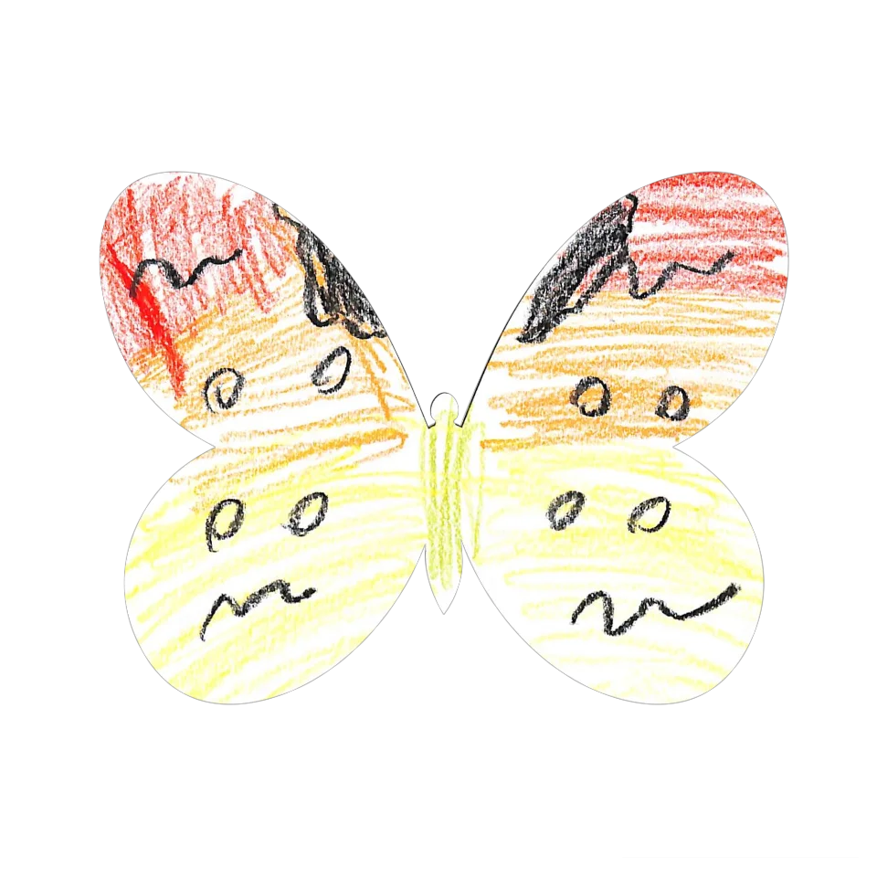 Original Butterfly Image