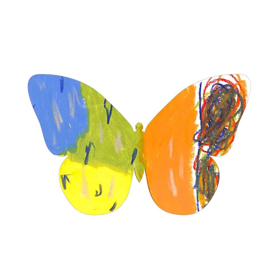 Original Butterfly Image