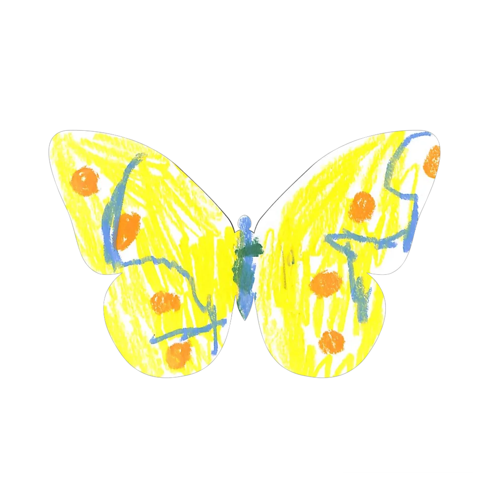 Original Butterfly Image
