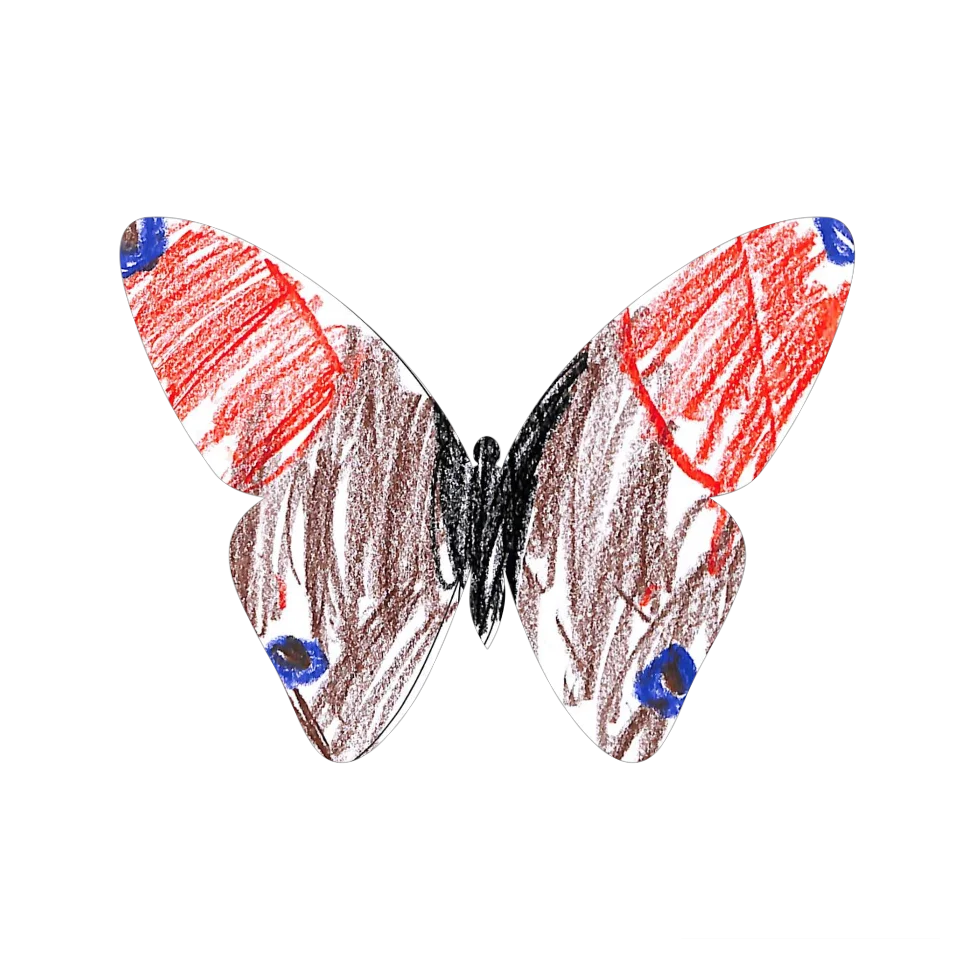 Original Butterfly Image
