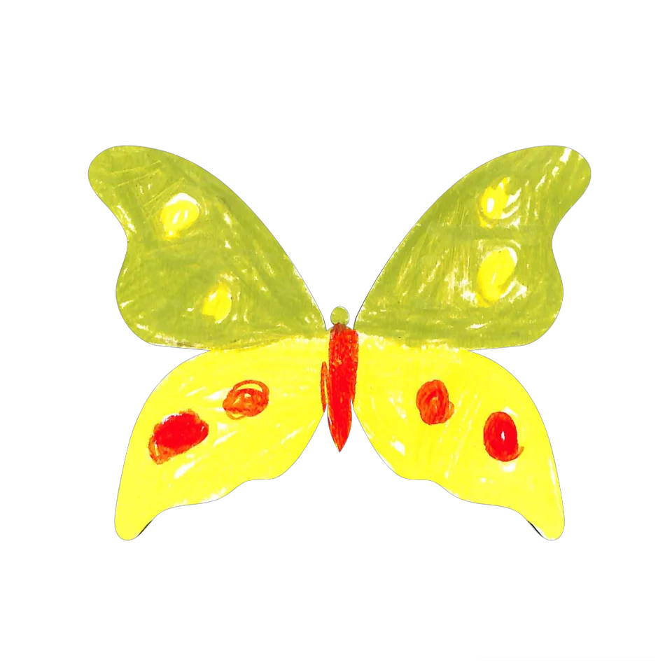 Original Butterfly Image