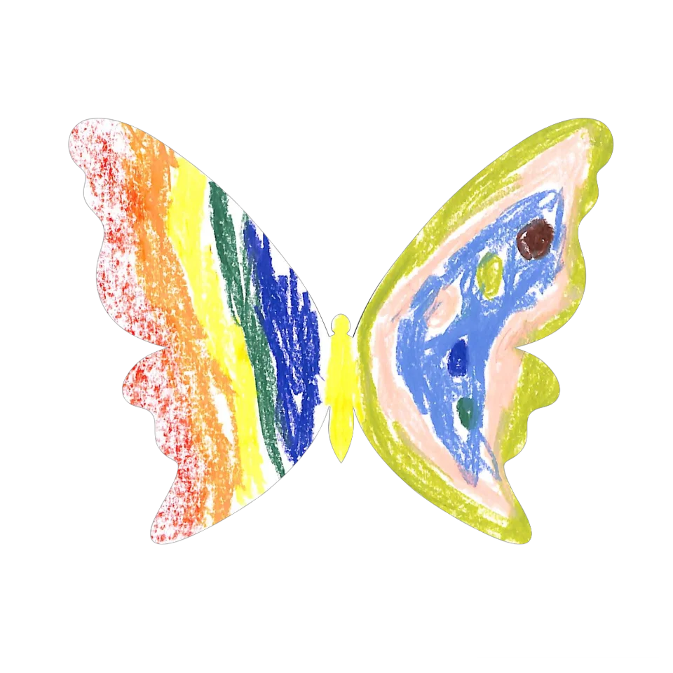 Original Butterfly Image