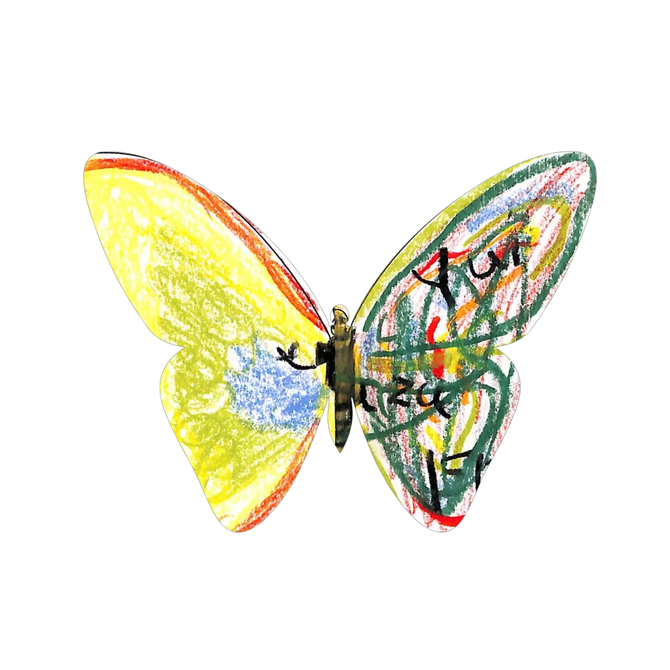 Original Butterfly Image