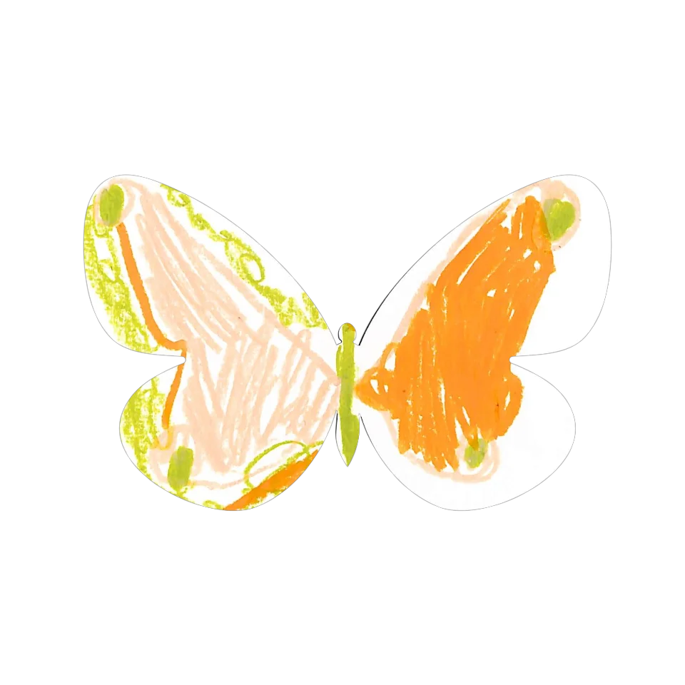 Original Butterfly Image