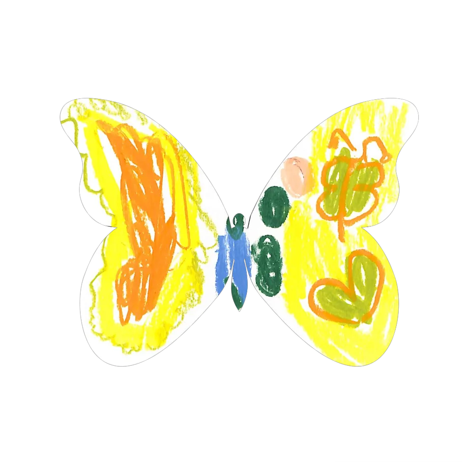 Original Butterfly Image