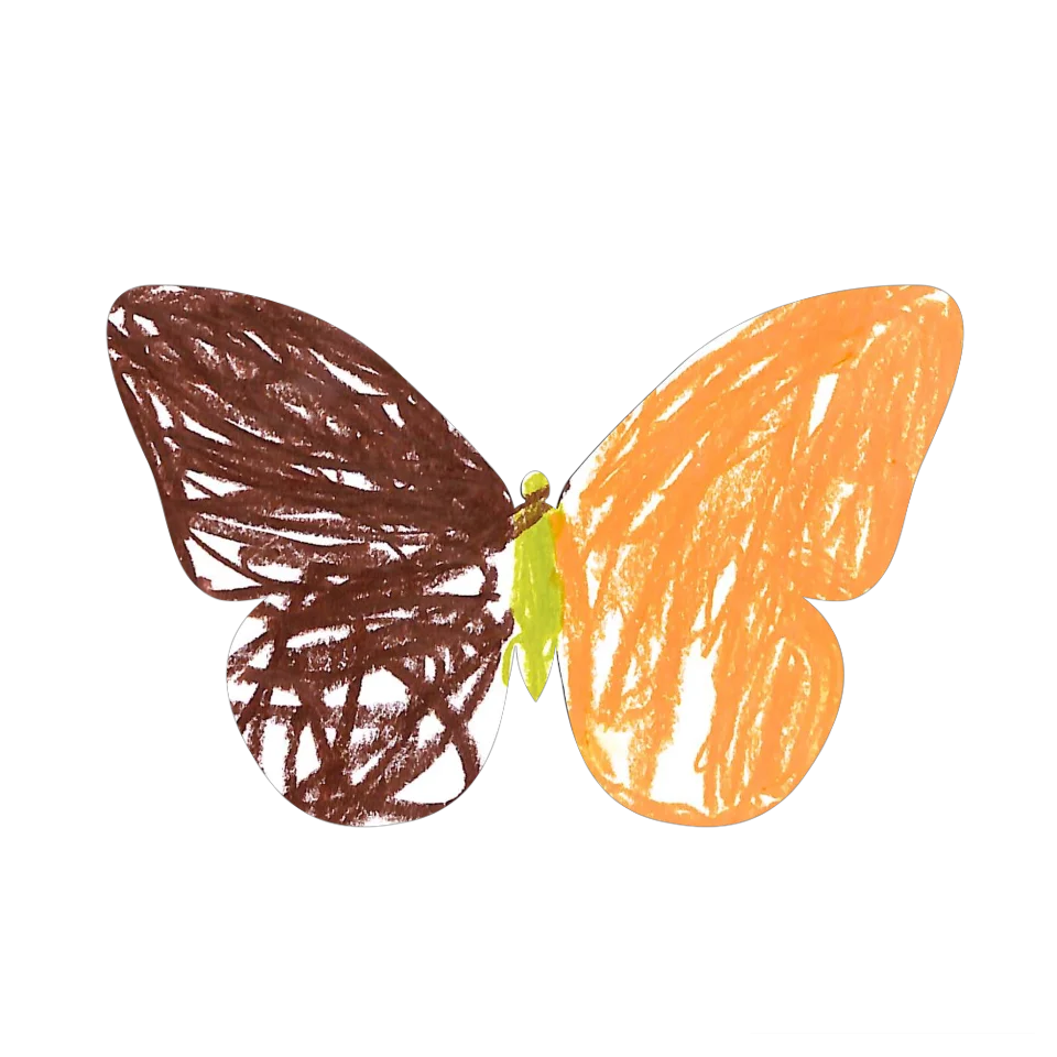 Original Butterfly Image