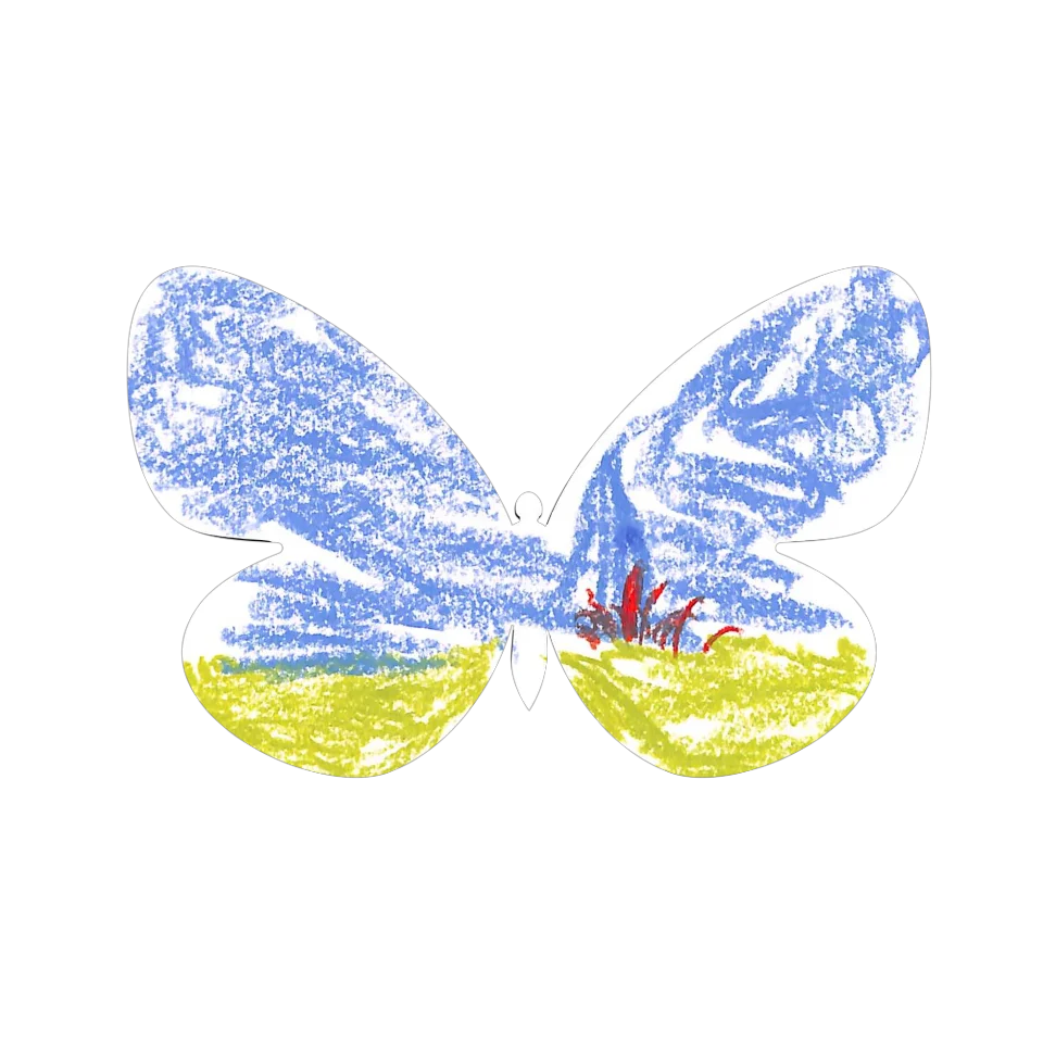 Original Butterfly Image