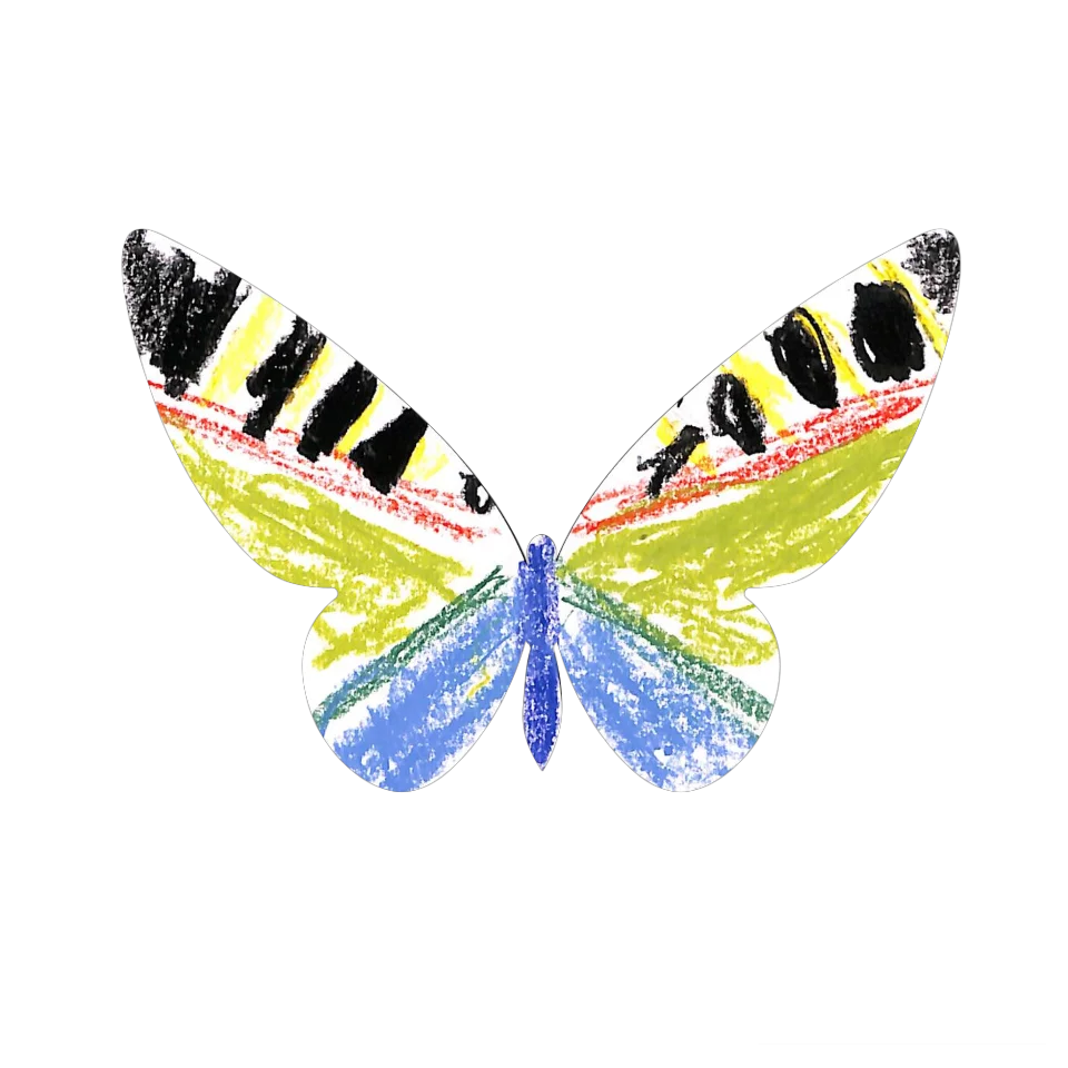 Original Butterfly Image