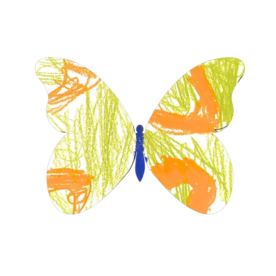 Original Butterfly Image