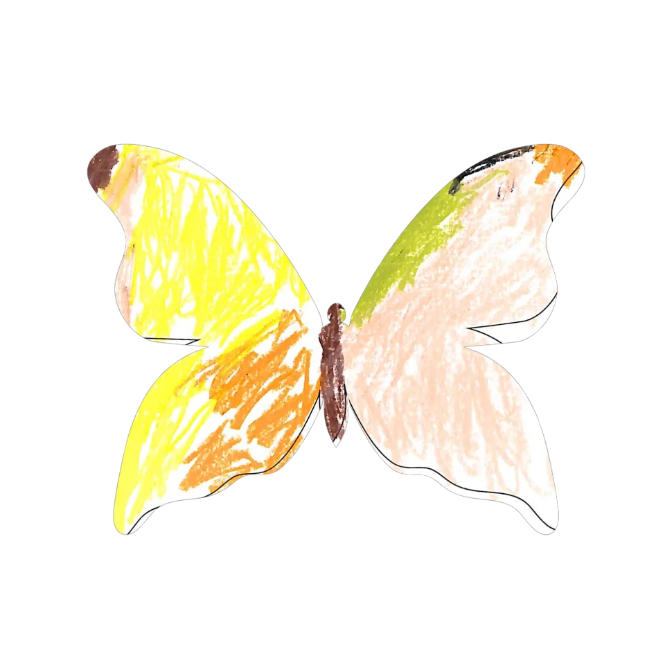 Original Butterfly Image