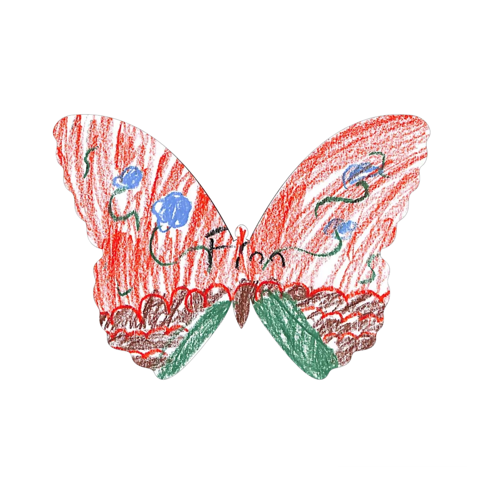 Original Butterfly Image