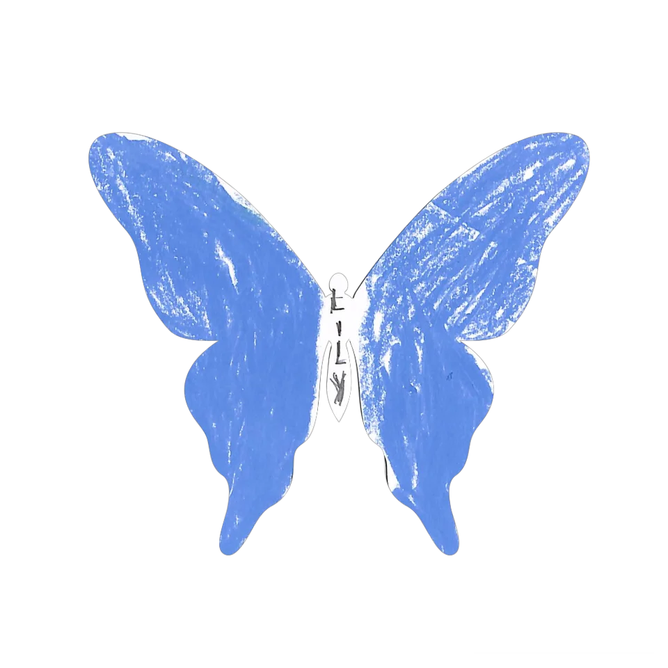 Original Butterfly Image
