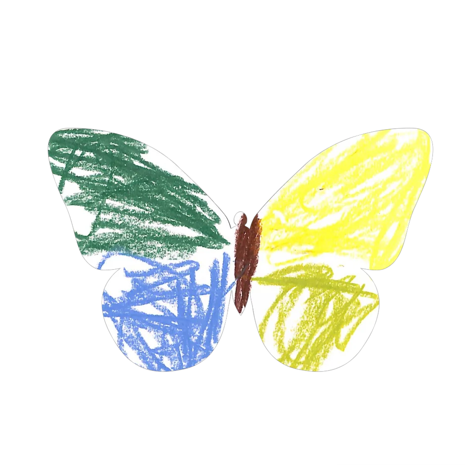 Original Butterfly Image