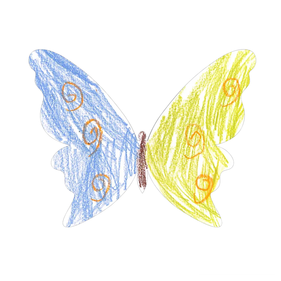 Original Butterfly Image