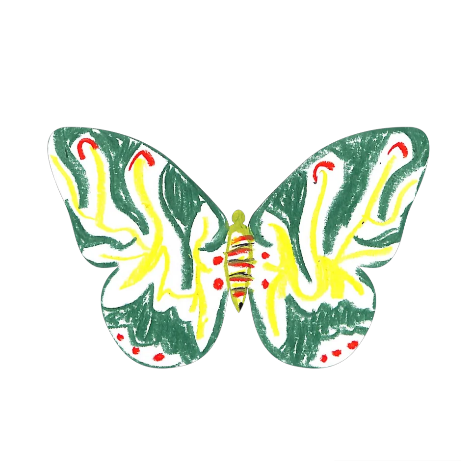 Original Butterfly Image