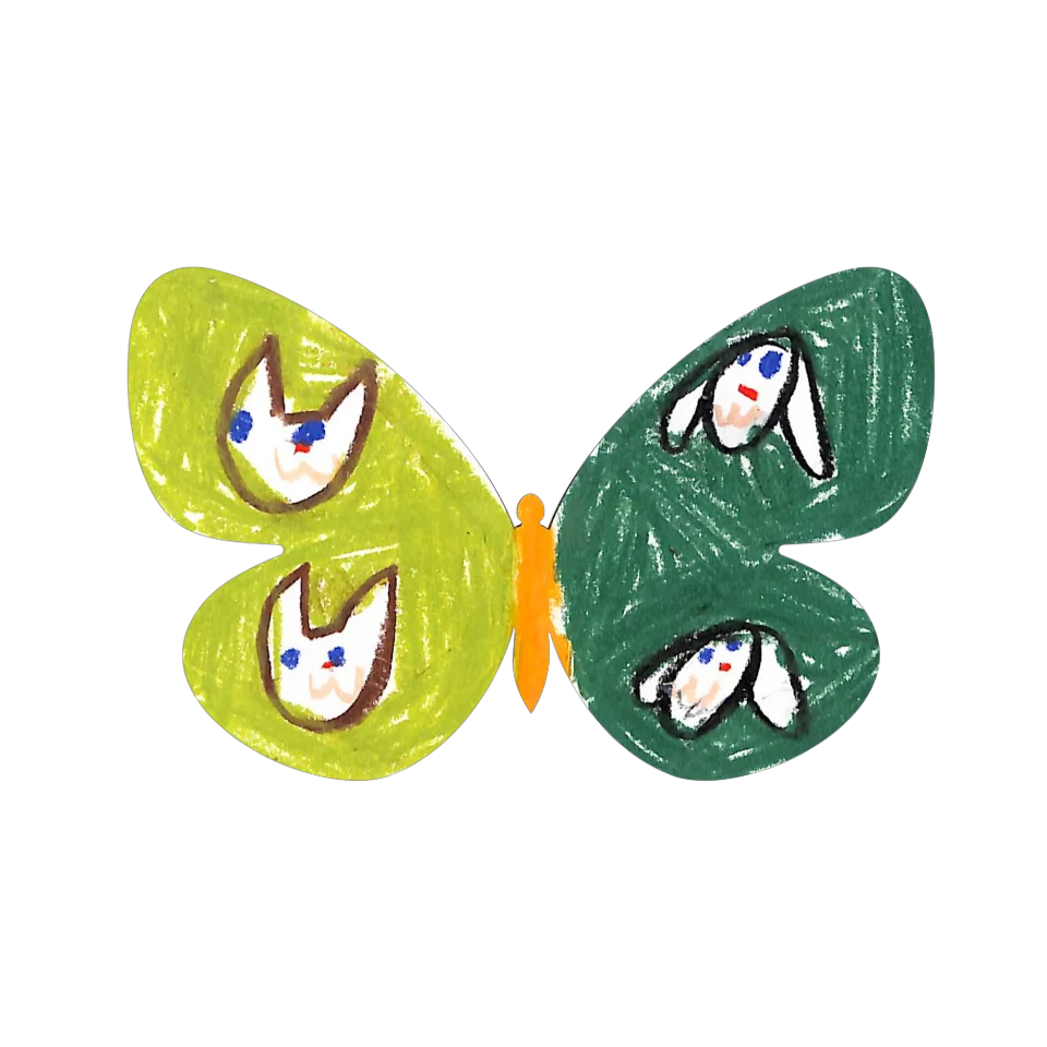 Original Butterfly Image