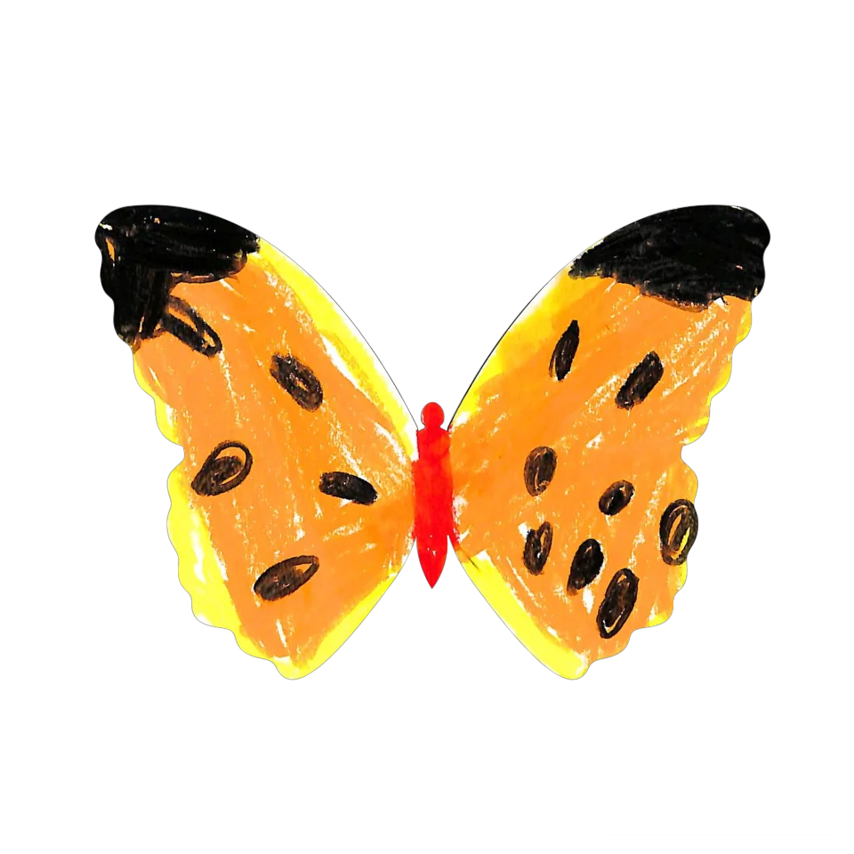 Original Butterfly Image