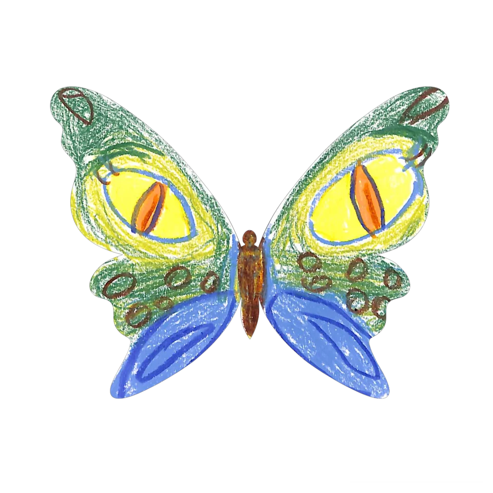 Original Butterfly Image