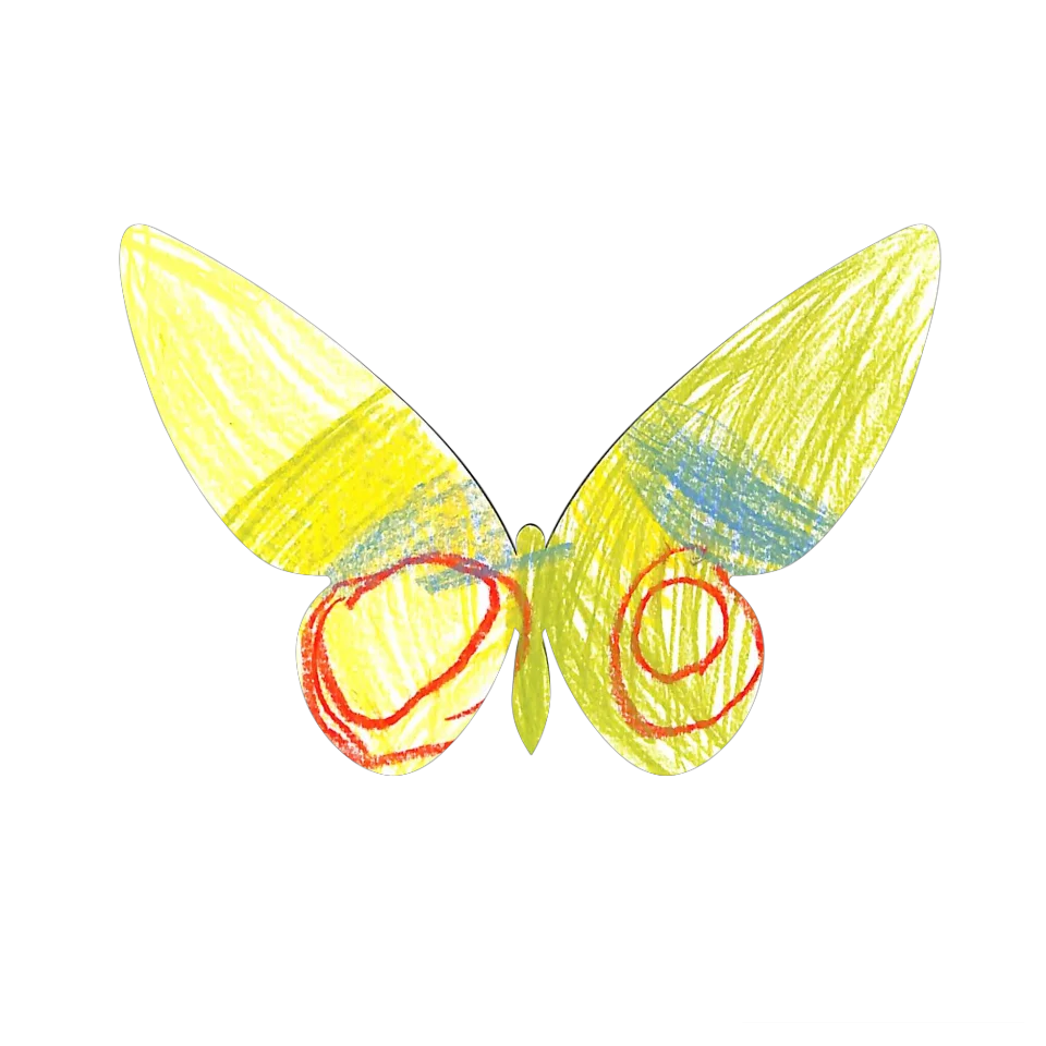 Original Butterfly Image