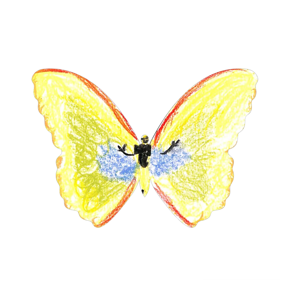 Original Butterfly Image