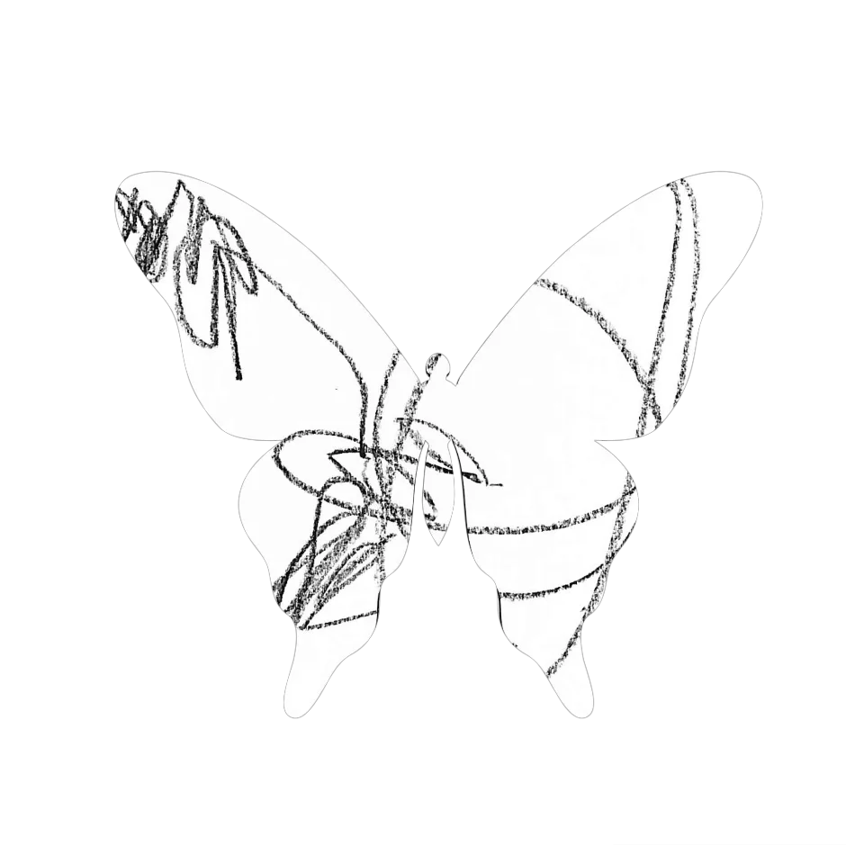 Original Butterfly Image