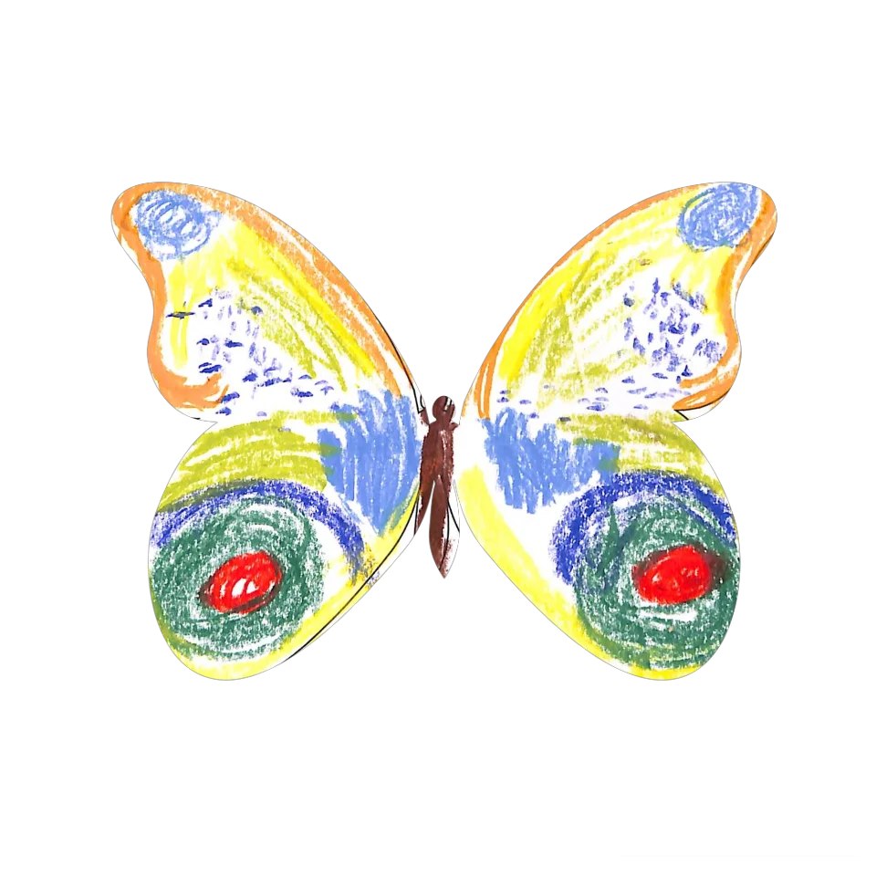Original Butterfly Image
