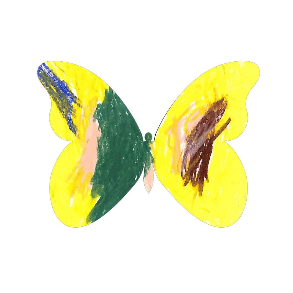 Original Butterfly Image