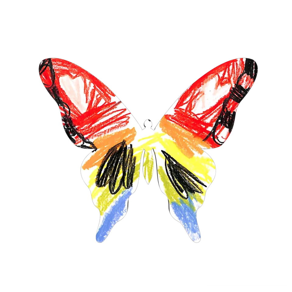 Original Butterfly Image