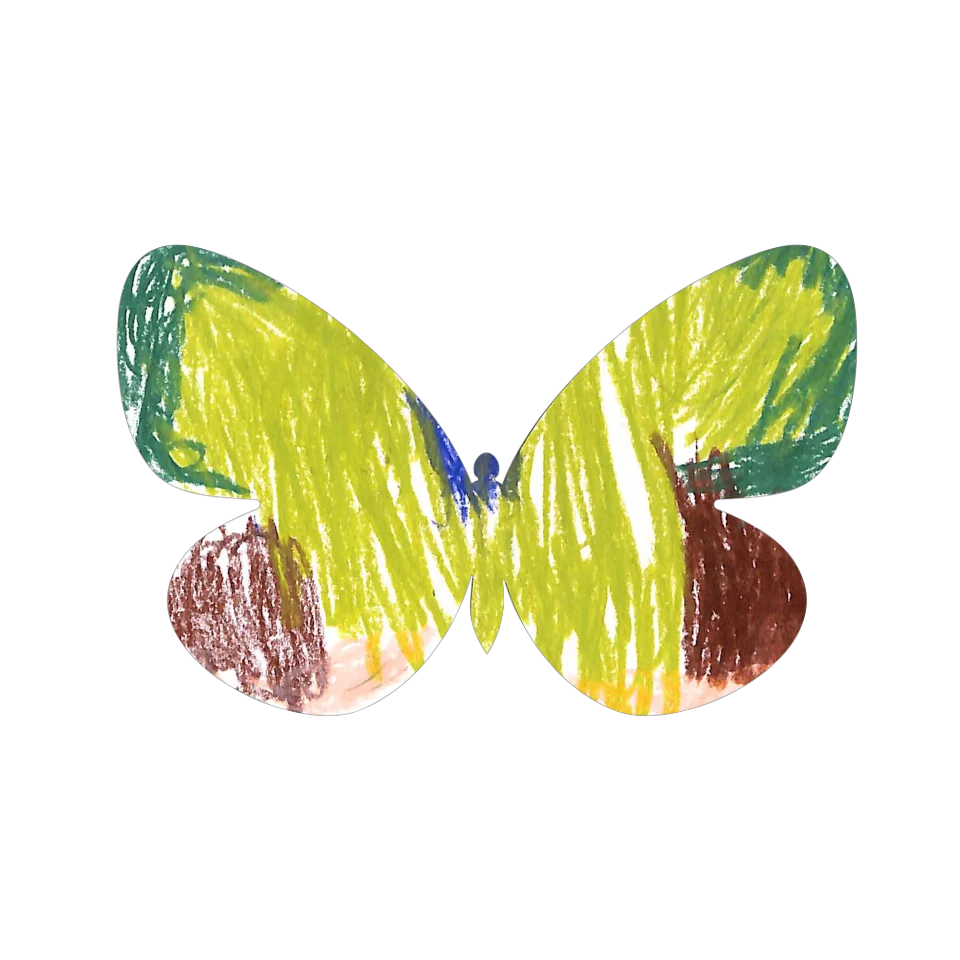 Original Butterfly Image