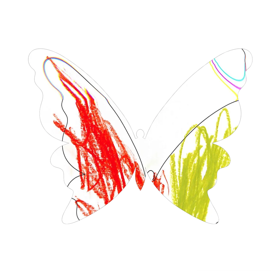 Original Butterfly Image