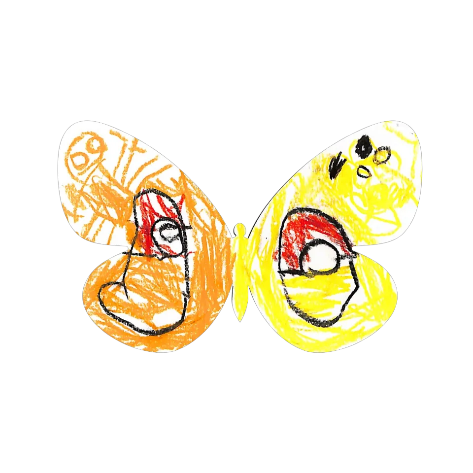 Original Butterfly Image