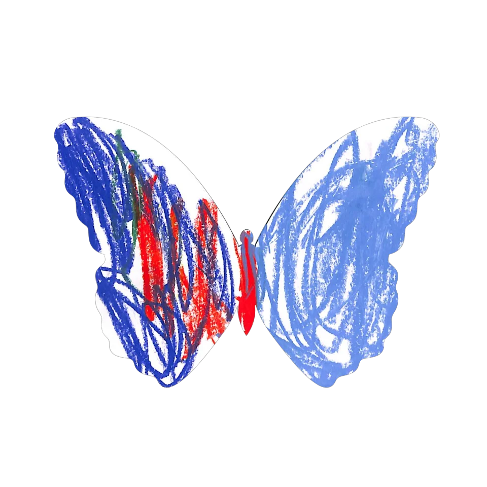 Original Butterfly Image
